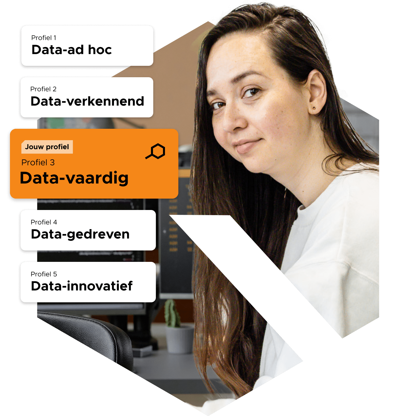Data-vaardig